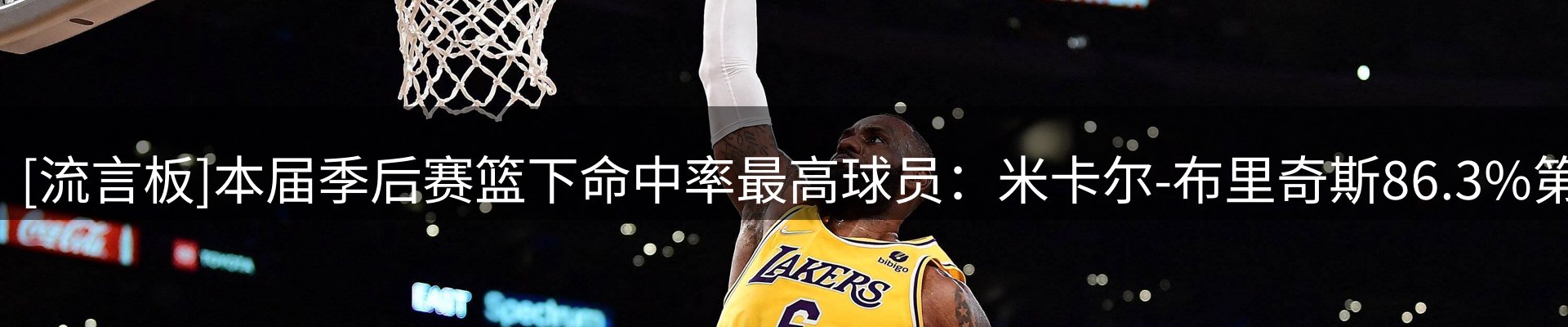 网站资讯